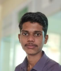 Gowri Sankar V